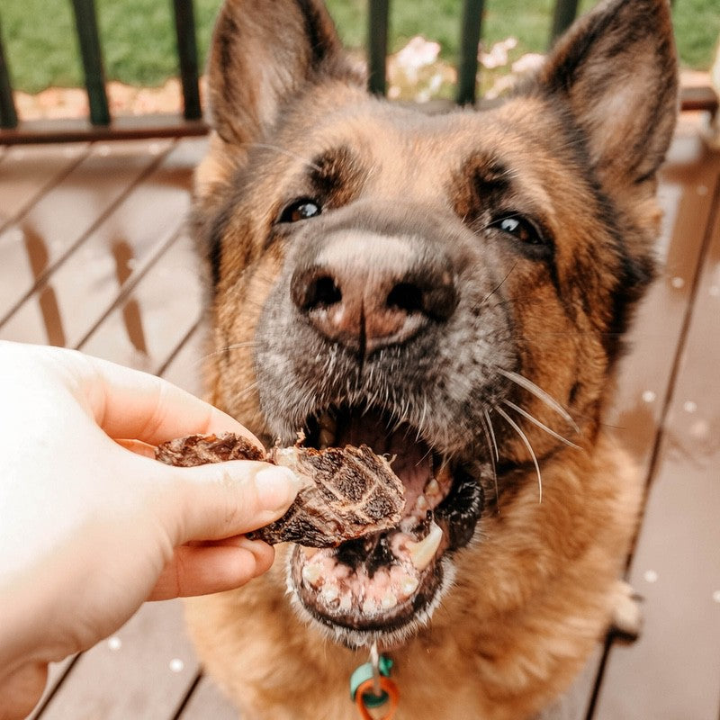 Pet Goods