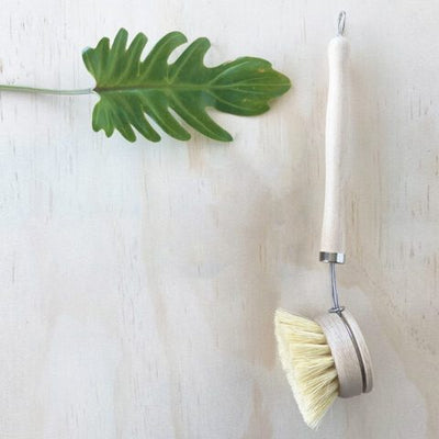 Dish Wash Brush - Wasteless Pantry Bassendean