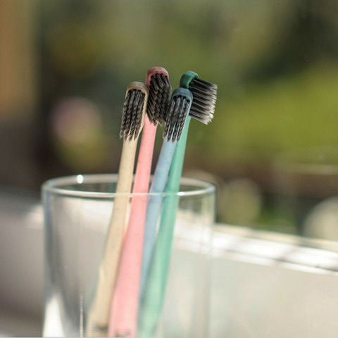 Toothbrush Wheat Straw - Wasteless Pantry Bassendean